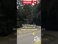 LA SOMBRA DEL APU PARTE 3 HISTORIAS DE LA RUTA Huamachuco Trujillo Leyendasurbanas