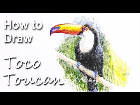 Mountains and Pine Tress Watercolor Pencil Landscape Drawing | steps to follow