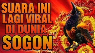 Download lagu Suara Ini Lagi Viral di Dunia Sogon!! Bikin Sogok Ontong Langsung Gacor & Ngeroll Tanpa Henti 🔥 mp3 Download lagu Suara Ini Lagi Viral di Dunia Sogon!! Bikin Sogok Ontong Langsung Gacor & Ngeroll Tanpa Henti 🔥 mp3
