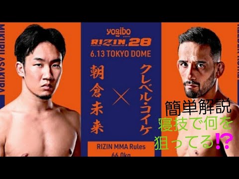 【MMA観戦ポイント】寝技で何をやっているのか⁉️簡単解説