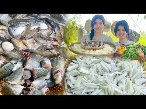 Amazing Cooking Fish with Banana Tree Sour Soup - Village Food Cooking Skill ​