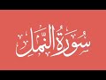Surah An Naml سورة النمل القارئ بلال دربالي Bilal Darbali Quran Recitation 