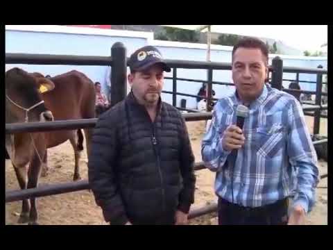 XV FERIA GANADERA SAN FRANCISCO PUTUMAYO 2018