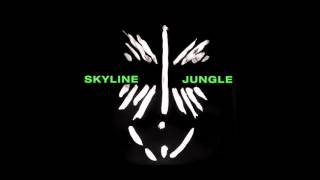 Skyline - Irie (Official Audio)