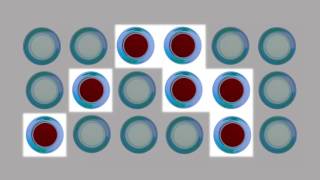 Video 22: Speaking to the Public