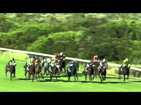 2014 L'ORMARINS QUEEN'S PLATE Capetown noir