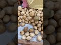 Part2 Carver S Apple Orchard Cosby Tennessee