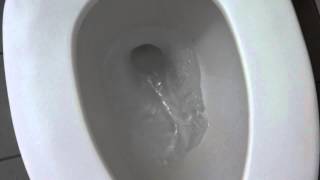 Early 2000's Briggs toilet