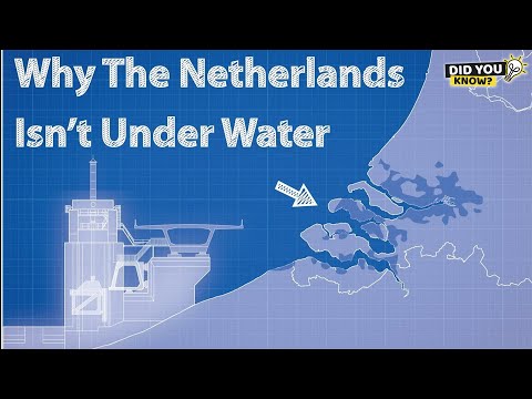 Why Is the Netherlands Below Sea Level? The Incredible Story of a Country vs. the Ocean