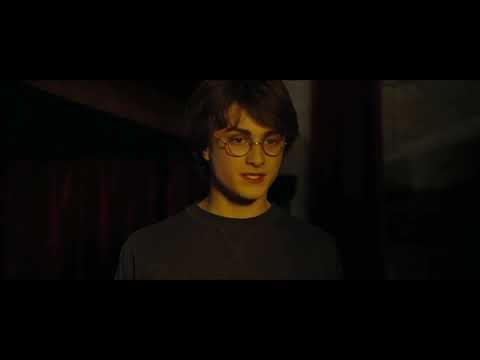 Harry Potter | Harry fights with Ron (HD)