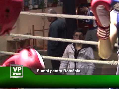 Pumni pentru România