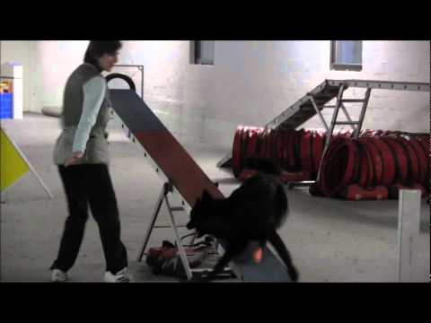 Agility-Training Fubuki, 7. März 2012