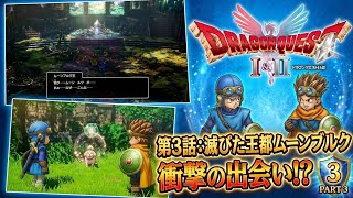 【ドラクエ】いよいよロトの伝説の最終章！王子王女たちと口うるさいおっさんの珍道中！ドラゴンクエスト２　PART3