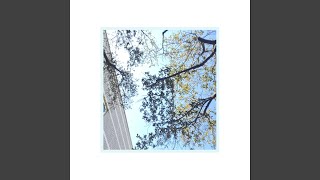 Cover art for dont know