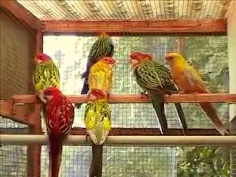 Kopie van PRG005 MOV002