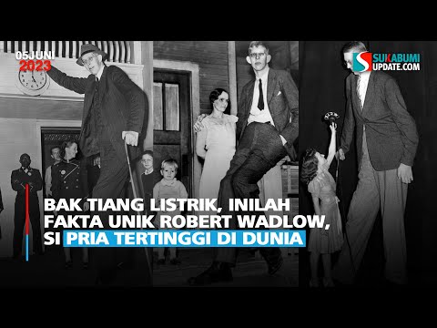 Bak Tiang Listrik, Inilah Fakta Unik Robert Wadlow, Si Pria Tertinggi di Dunia