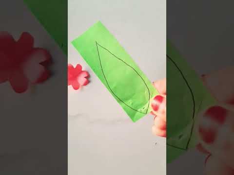 Many flower's🌷🌷🌷🌷🌷🌷🌷💐 #love #ELMA'S SHOW#🤍