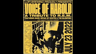 Voice of Harold (r.e.m. tribute) So. Central Rain - Cover