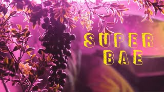 SUPER BAE Music Video
