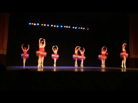 Um voo para a liberdade