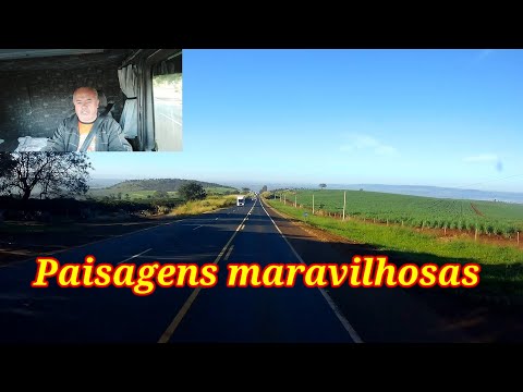 Extensos canaviais  na região de Cajuru (084/26)