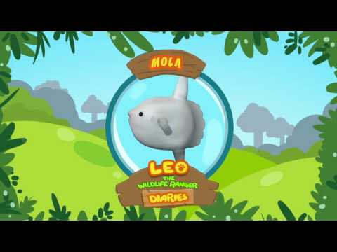 Witness21  2018 08 23