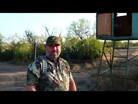 Deep South Texas Whitetail hunt 2025 season