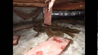 preview picture of video 'Wet Crawl Space in New Palestine, Indiana'
