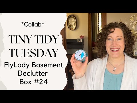 Tiny Tidy Tuesday Collab | Box #24 | FlyLady Babystep Basement Declutter