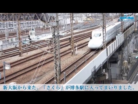 #41「新商品の実車を見に行ってみた#1」プラレールアドバンス やってみ！ターミナル