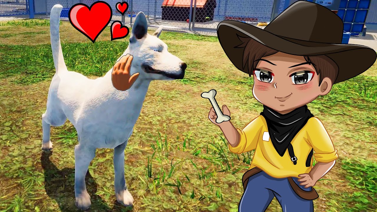 Abandonaram a Destiny Vou Cuidar Dela (Animal Shelter)