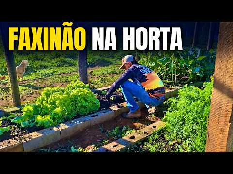 ORGANIZEI MINHA HORTA E O RESULTADO FICOU INCRIVEL