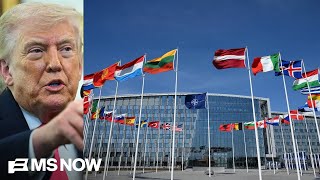 MSNBC: 'Paper tiger': Trump criticizes NATO, says he is considering leaving alliance