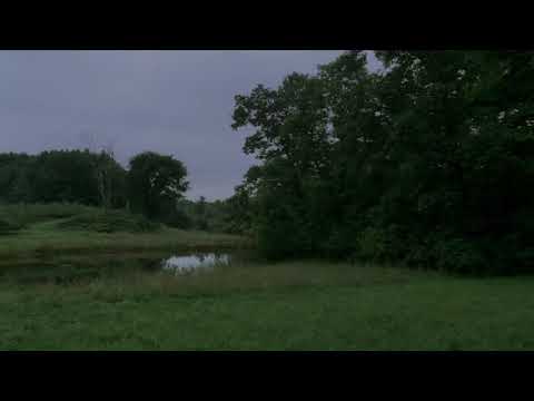 A természet lágy ölén - Maffiózók