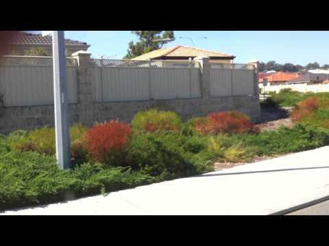 Transperth TP2120, Mercedes-Benz OC500-LE Diesel (ZF)