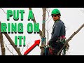 Tree Climbing Anchor: Friction Saver