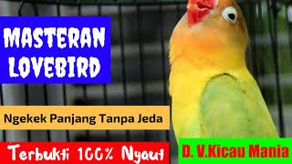 Download lagu Masteran Lovebird Paling Dicari Audio Lovebird Ngekek Panjang 1 Jam Tanpa Jeda Terbukti Ampuh mp3