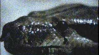 "Addiction" John Phillips