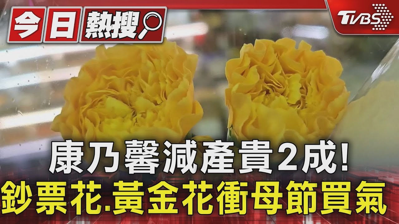 康乃馨減產貴2成! 鈔票花、黃金花衝母節買氣