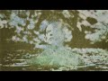 Ed O'Brien - Thin Places (Official Video)