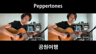 Video thumbnail for 페퍼톤스 - 공원여행 (자가격리 어쿠스틱 버전) | Yamaha CPX15ii by Jane's Guitar