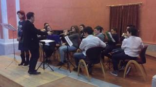 Orchestra Flauti