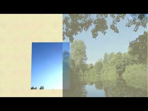 Eines tages interbliert sich auch das Internet. Kinder an die Macht. Artikel 5