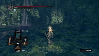 身内向け　ダクソ　十回目