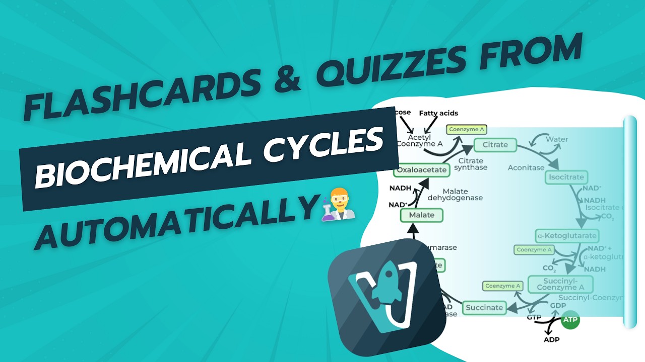 How to create flashcards from Biochemical Cycles: Automatic AI Image Occlusion with Voovo🚀👨‍🔬