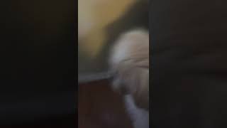 Just so u can find me buddy💖💖