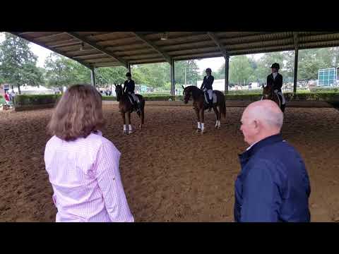 Stute von Soliman de Hus / Don Larino