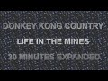 DONKEY KONG COUNTRY LIFE IN THE MINES 30 MINUTES EXPANDED