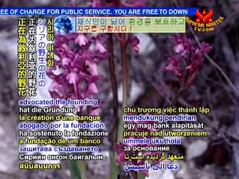 A new species of wild orchid is discovered in Syria