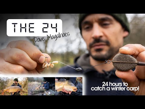 24 Hours to CATCH A CARP - Dave Mag